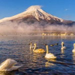 Фүжи – Ошино Хайкай тосгон – Токио (ӨДӨР 3) 