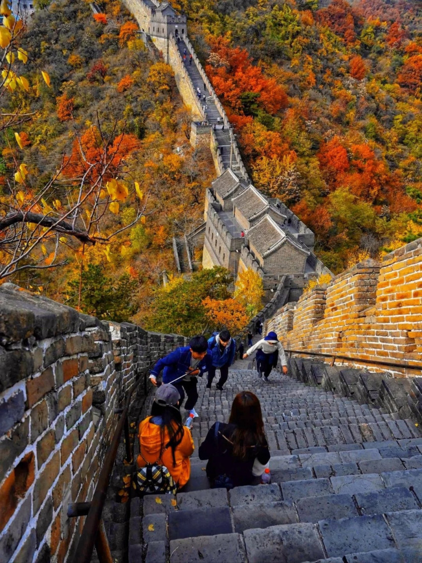 Аяллын зураг