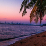 НЭМЭЛТ СОНГОЛТТОЙ ҮЗВЭР, ҮЙЛЧИЛГЭЭ :